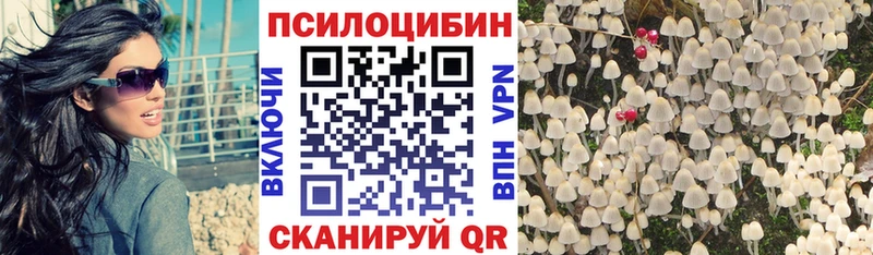 Купить закладки  Прохладный  Псилоцибиновые грибы Psilocybe 